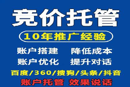 SEM竞价实战技巧，案例讲解与应用